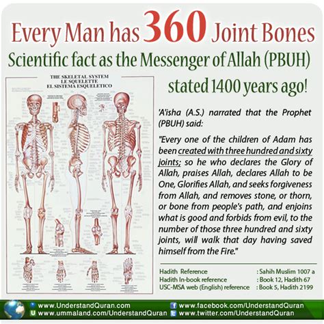 The Haunting Beauty of Bones in 